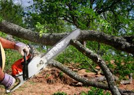 Best Tree Mulching  in Fairview, GA