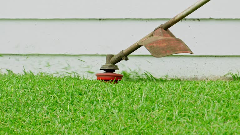 Best Aeration Services  in Fairview, GA